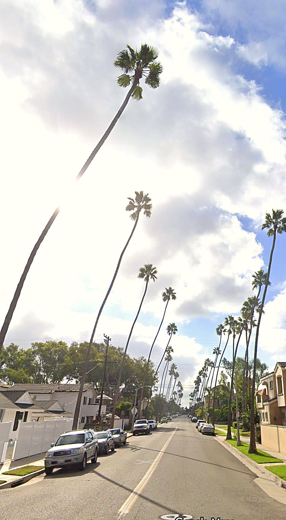 Palm Drive — Huntington Beach